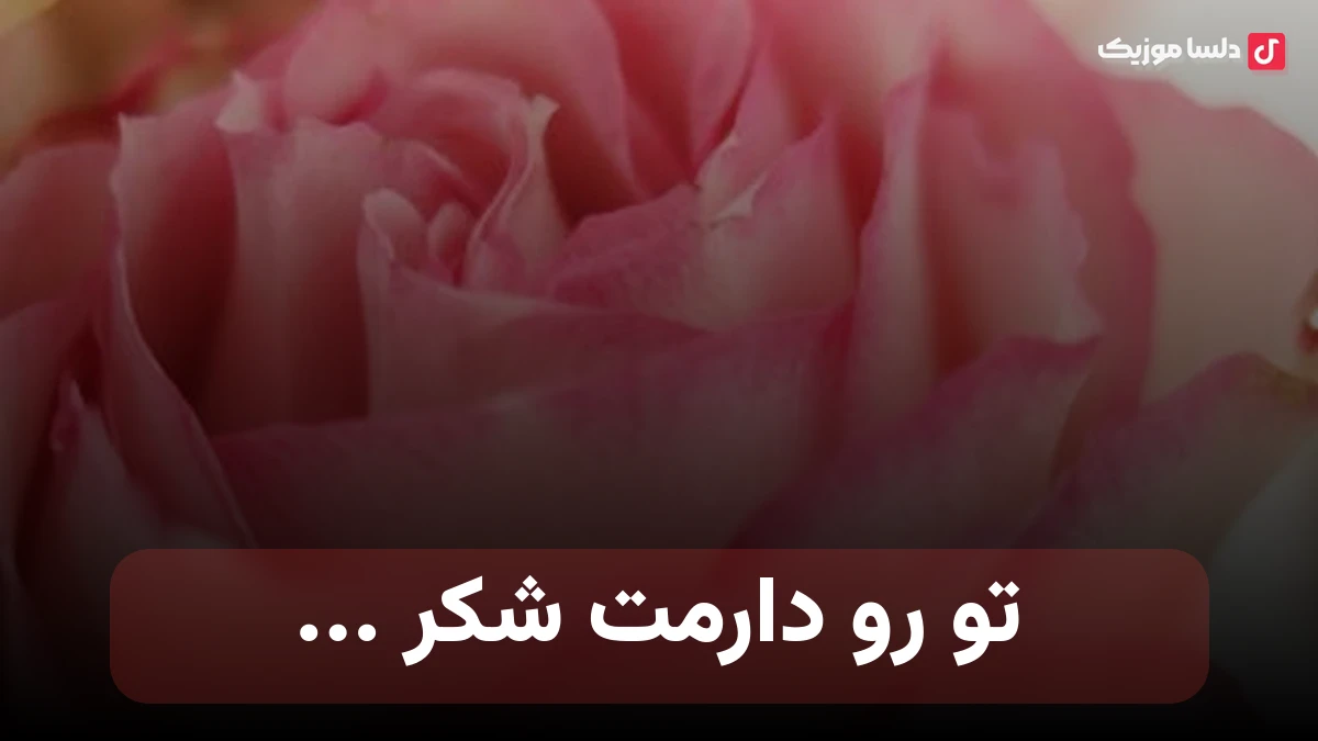 معین به نام تو رو دارمت شکر
